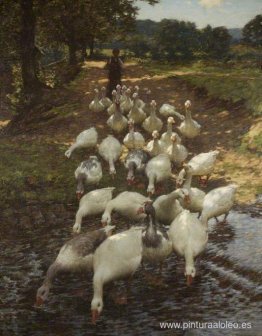 El chapoteo El chapoteo