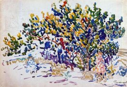 Niños en el árbol Niños en el árbol