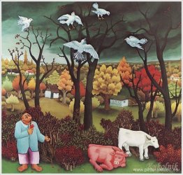 pájaros blancos pájaros blancos