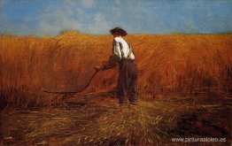 El veterano en un nuevo campo El veterano en un nuevo campo