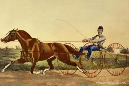 La yegua celebrante Pacahontas La yegua celebrante Pacahontas