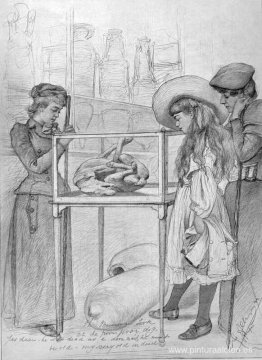 (La bella Napoli) Ay el pobre perro pobre (La bella Napoli) Ay el pobre perro pobre