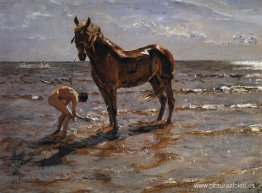 Bañar un caballo Bañar un caballo