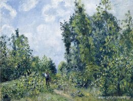 Vagabundo cerca del bosque Vagabundo cerca del bosque