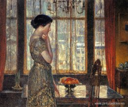 Ventana de invierno de Nueva York Ventana de invierno de Nueva York