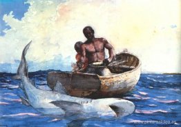 pesca de tiburones pesca de tiburones