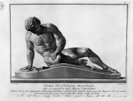 gallo muriendo gallo muriendo