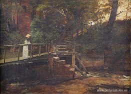 Pasarela en Birch Hill House, Mucklow Hill, Worcestershire Pasarela en Birch Hill House, Mucklow Hill, Worcestershire