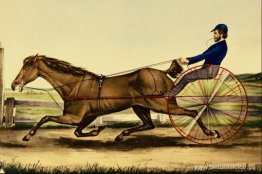 Fideicomisario Fideicomisario