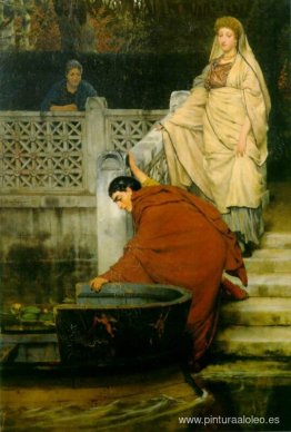 Paseo en barco Paseo en barco