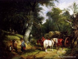 Acarreando madera en el nuevo bosque Acarreando madera en el nuevo bosque