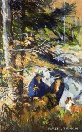 Entre las rocas, isla Monhegan, Maine Entre las rocas, isla Monhegan, Maine