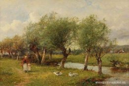 Alimentando a los gansos Alimentando a los gansos