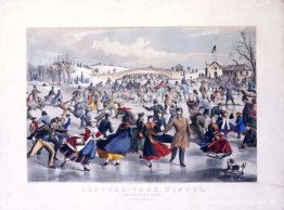 Parque Central, Invierno. El estanque de patinaje Parque Central, Invierno. El estanque de patinaje