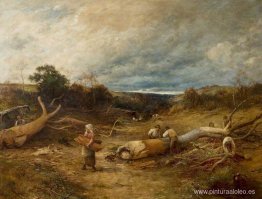 corazones de roble corazones de roble