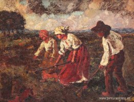 Trabajo Agrícola Trabajo Agrícola