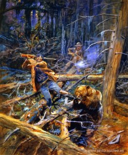 Un oso pardo herido Un oso pardo herido