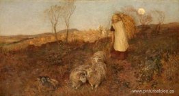 Tarde, Matlock Tarde, Matlock