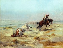 Lazar un novillo Lazar un novillo