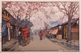 Avenida de los Cerezos Avenida de los Cerezos