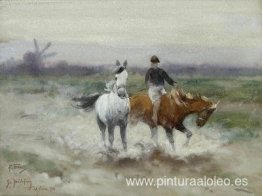 Un paseo a caballo Un paseo a caballo