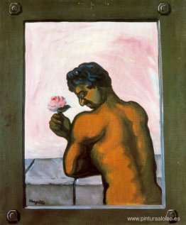 el psicólogo el psicólogo