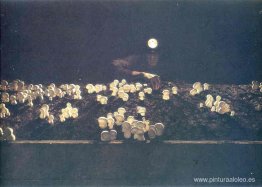 Recolector de setas Recolector de setas