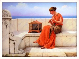 Una canción sin palabras Una canción sin palabras