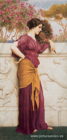 El abanico del pavo real El abanico del pavo real