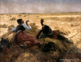 Cosquillas Cosquillas