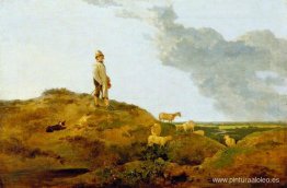 Ver en Mousehold Heath, cerca de Norwich Ver en Mousehold Heath, cerca de Norwich