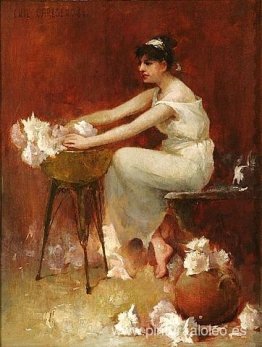 Arreglar flores Arreglar flores