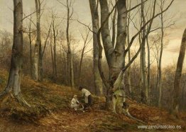 Un bosque de hayas, Malvern, Worcestershire Un bosque de hayas, Malvern, Worcestershire