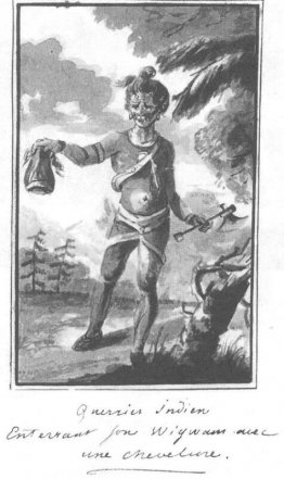 Un indio con cuero cabelludo Un indio con cuero cabelludo