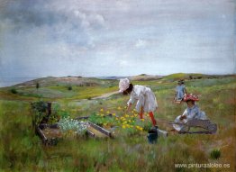 El pequeño jardín El pequeño jardín