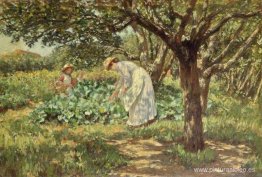 en el jardin en el jardin