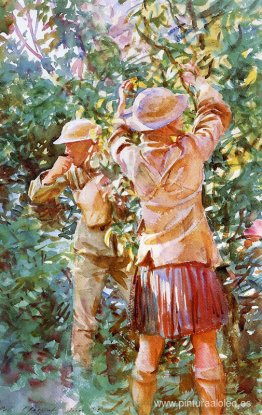 No robarás No robarás