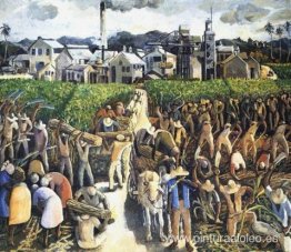 Tiempo de cosecha Tiempo de cosecha