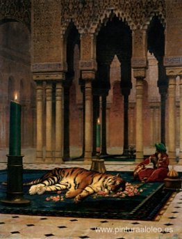 El dolor del Pasha El dolor del Pasha