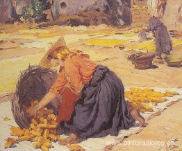 maíz al sol maíz al sol