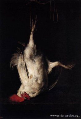 gallo muerto gallo muerto
