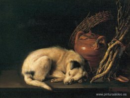 Un perro durmiendo con una maceta de terracota Un perro durmiendo con una maceta de terracota