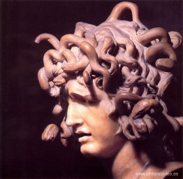 Medusa Medusa