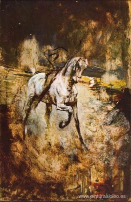caballo blanco caballo blanco