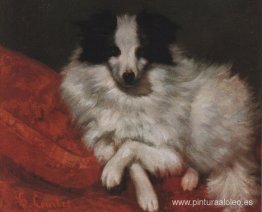 Perro Sentado Sobre Cojines Perro Sentado Sobre Cojines