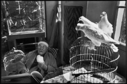 Henri Matisse en su casa, Alpes Marítimos Henri Matisse en su casa, Alpes Marítimos