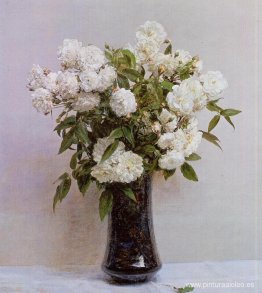 rosas de hadas rosas de hadas