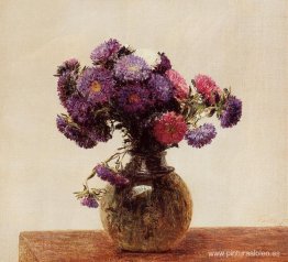 Margaritas reinas Margaritas reinas