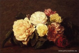 rosas rosas