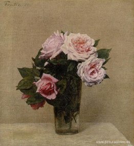 rosas rosas